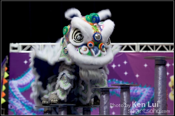 20160110LION151