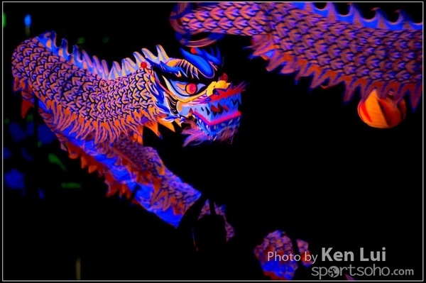 20160110LION200