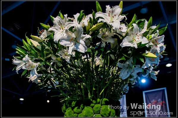 2016-02-20 Longines Masters 0155
