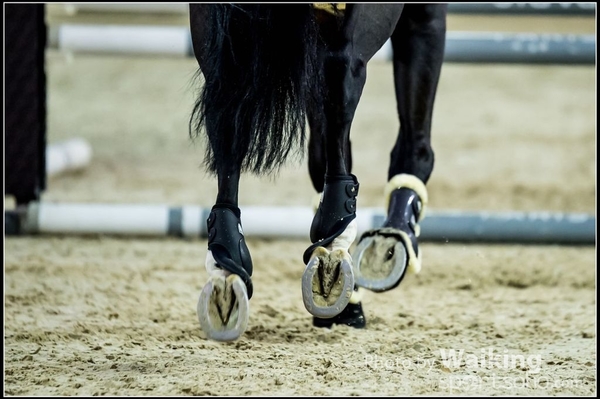 2016-02-21 Longines Masters 0170