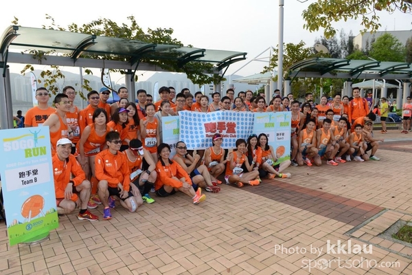 LWK_3119c