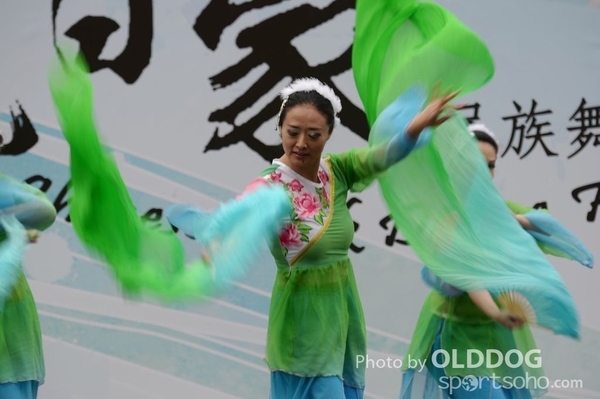 Folk Dance (246)