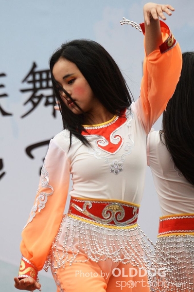 Folk Dance (376)
