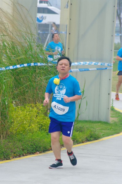 SG201173