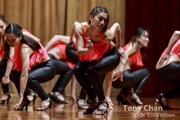 Salsa0147