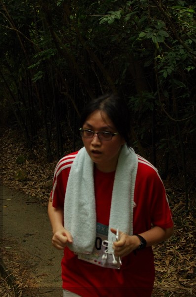 IMGP8251