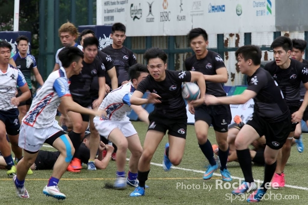 IMG_8544 copy