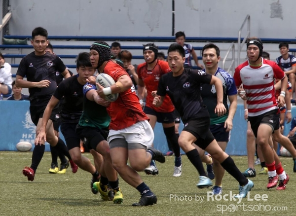 IMG_8686 copy