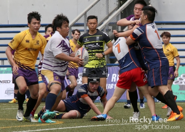 IMG_8916 copy