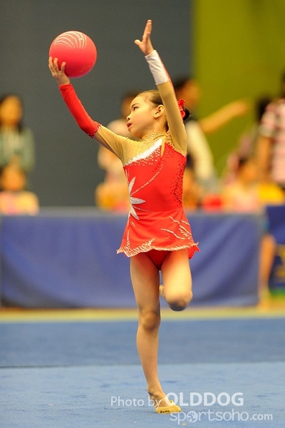 Gymnastics (20)