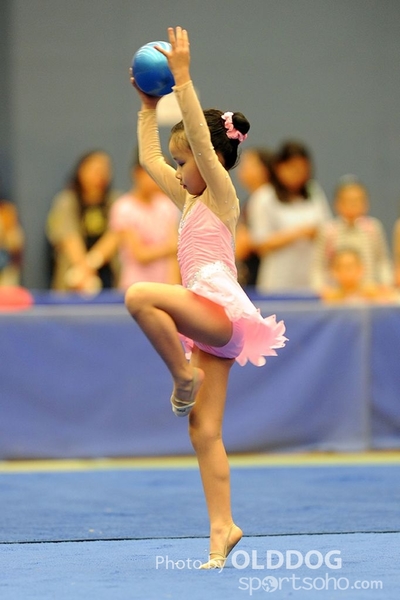 Gymnastics (26)
