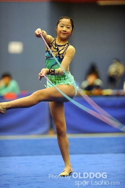 Gymnastics (90)