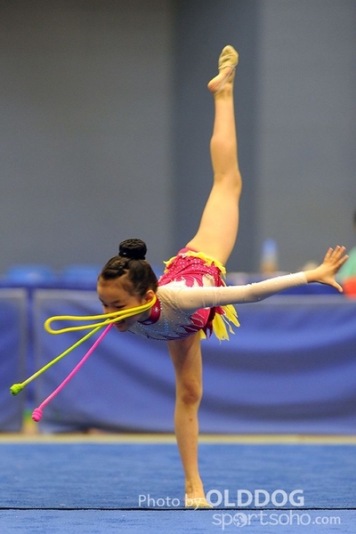 Gymnastics (111)