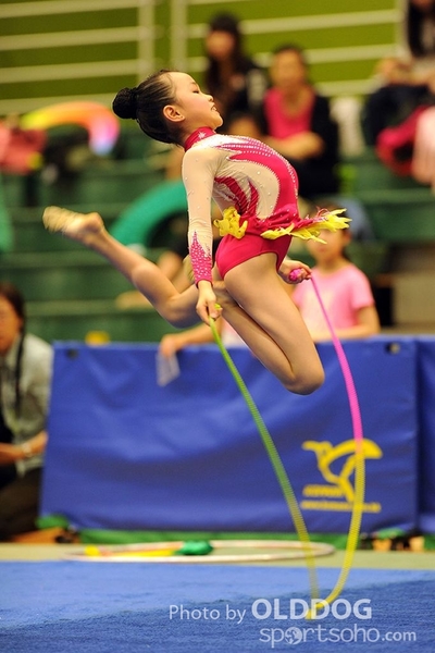 Gymnastics (112)