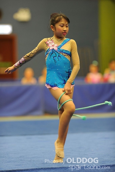 Gymnastics (120)