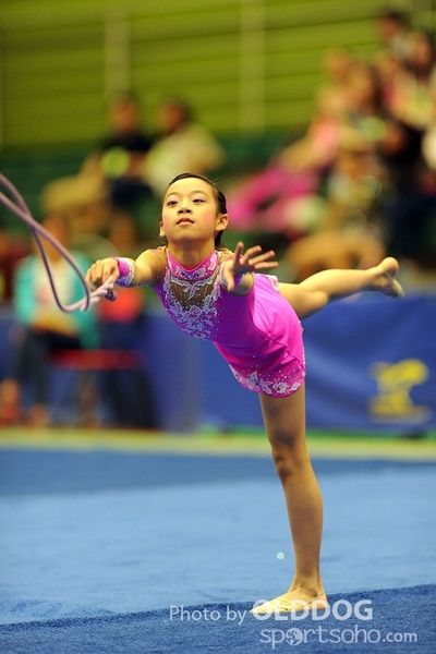 Gymnastics (129)