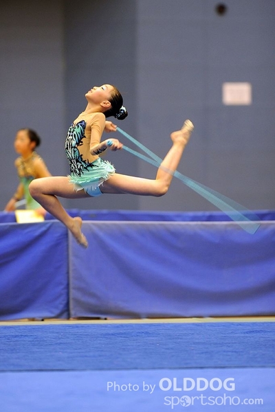 Gymnastics (132)