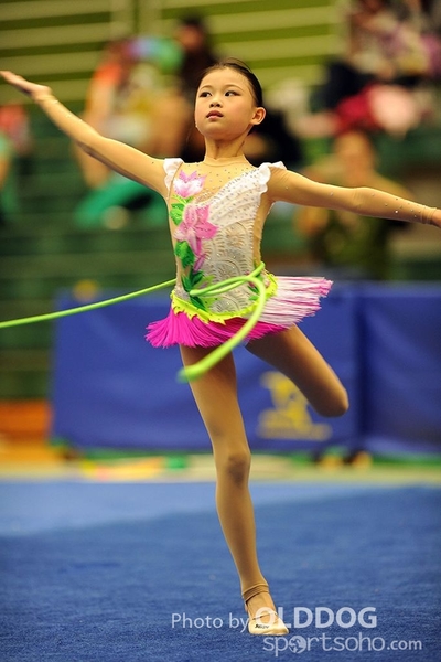 Gymnastics (139)