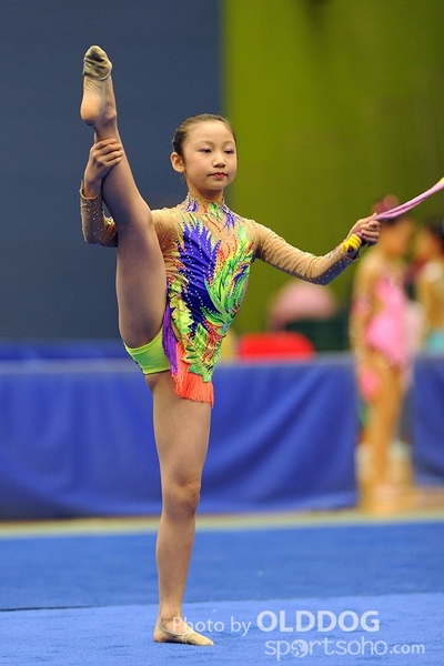Gymnastics (141)