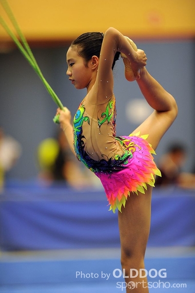 Gymnastics (154)