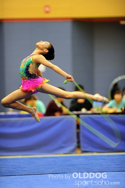 Gymnastics (156)