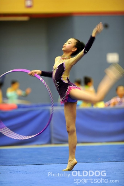 Gymnastics (190)