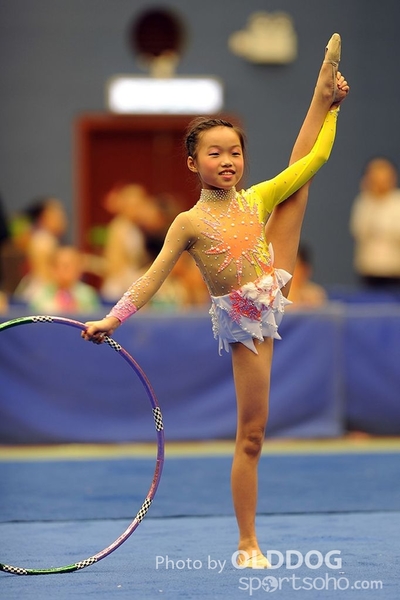 Gymnastics (193)