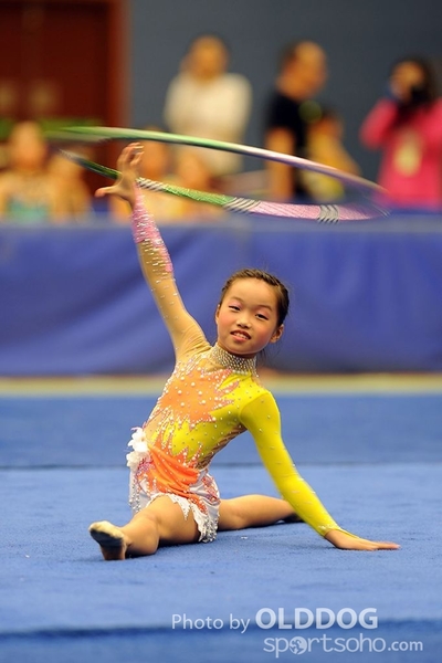 Gymnastics (194)