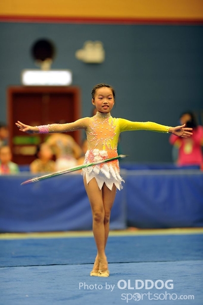 Gymnastics (195)