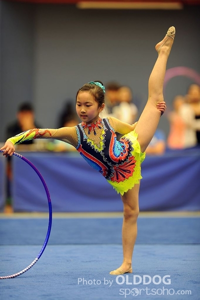 Gymnastics (201)