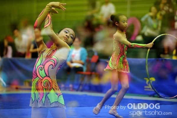 Gymnastics (214)