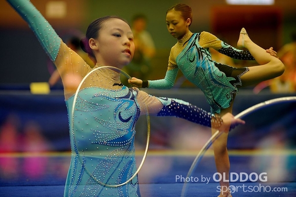 Gymnastics (216)