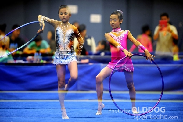 Gymnastics (221)