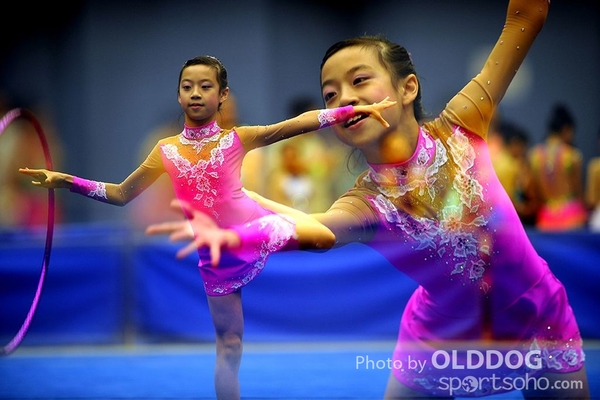 Gymnastics (222)