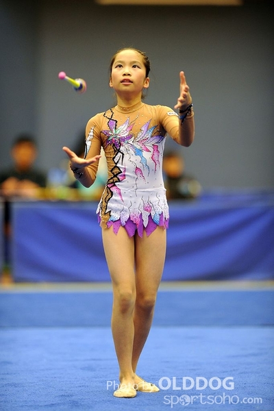 Gymnastics (237)