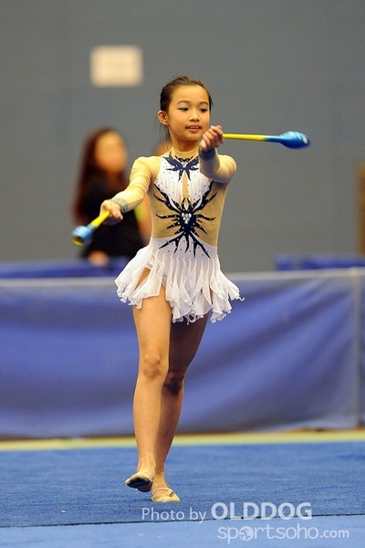Gymnastics (238)