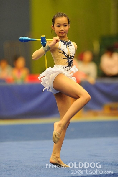 Gymnastics (239)