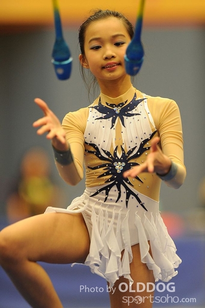 Gymnastics (241)