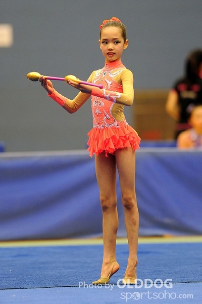 Gymnastics (242)