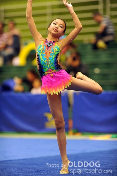 Gymnastics (246)