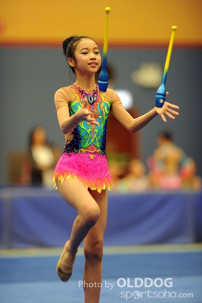 Gymnastics (248)