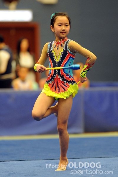 Gymnastics (249)