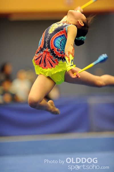 Gymnastics (250)