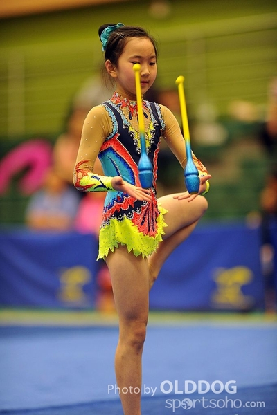 Gymnastics (251)