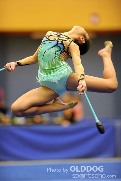 Gymnastics (258)