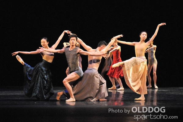 Dance Award (13)