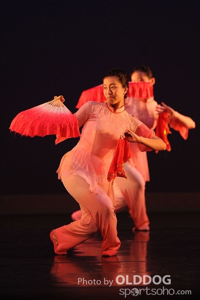 Dance Award (100)