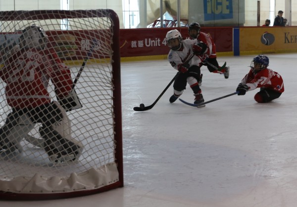 Icefox (1)