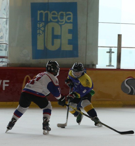 Icefox (16)