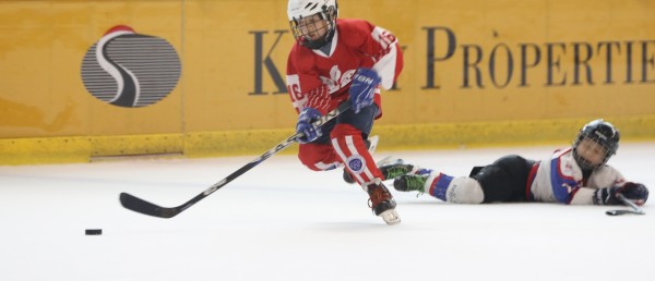 Icefox (21)